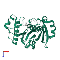 Phosphopantetheinyl transferase, PptII in PDB entry 4qjl, assembly 1, top view.