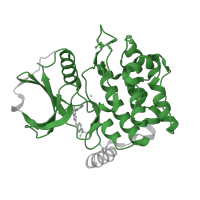 The deposited structure of PDB entry 4qmu contains 1 copy of Pfam domain PF00069 (Protein kinase domain) in Serine/threonine-protein kinase 24 36 kDa subunit. Showing 1 copy in chain A.