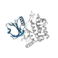 The deposited structure of PDB entry 4qmv contains 1 copy of CATH domain 3.30.200.20 (Phosphorylase Kinase; domain 1) in Serine/threonine-protein kinase 24 36 kDa subunit. Showing 1 copy in chain A.