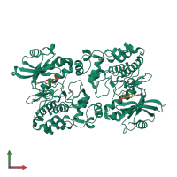 Homo dimeric assembly 3 of PDB entry 4qny coloured by chemically distinct molecules, front view.