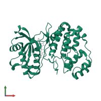 Protein kinase domain-containing protein in PDB entry 4qny, assembly 2, front view.