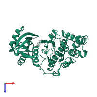 Protein kinase domain-containing protein in PDB entry 4qny, assembly 2, top view.