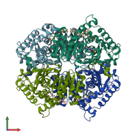 PDB entry 4qo8 coloured by chain, front view.