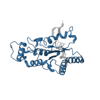 The deposited structure of PDB entry 4qof contains 2 copies of Pfam domain PF02525 (Flavodoxin-like fold) in Ribosyldihydronicotinamide dehydrogenase [quinone]. Showing 1 copy in chain A.