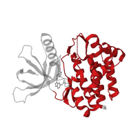 The deposited structure of PDB entry 4qps contains 2 copies of CATH domain 1.10.510.10 (Transferase(Phosphotransferase); domain 1) in Tyrosine-protein kinase JAK3. Showing 1 copy in chain B [auth C].