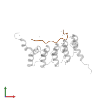 DNA-binding protein RFX7 in PDB entry 4qqi, assembly 1, front view.