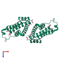 Homo dimeric assembly 2 of PDB entry 4qsr coloured by chemically distinct molecules, top view.
