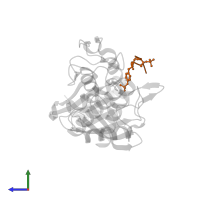 Mitogen-activated protein kinase 12 in PDB entry 4qum, assembly 1, side view.