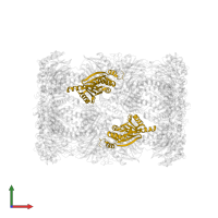 Proteasome subunit beta type-5 in PDB entry 4qv1, assembly 1, front view.
