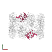Proteasome subunit beta type-6 in PDB entry 4qv1, assembly 1, front view.