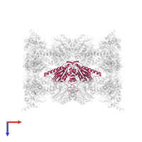 Proteasome subunit beta type-6 in PDB entry 4qv1, assembly 1, top view.