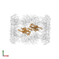 Proteasome subunit beta type-1 in PDB entry 4qv1, assembly 1, front view.
