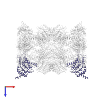 Proteasome subunit alpha type-4 in PDB entry 4qv1, assembly 1, top view.