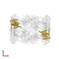 Probable proteasome subunit alpha type-7 in PDB entry 4qv1, assembly 1, front view.