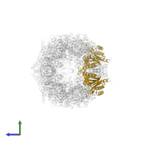 Probable proteasome subunit alpha type-7 in PDB entry 4qv1, assembly 1, side view.