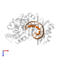 DNA (5'-D(P*GP*GP*CP*TP*AP*CP*AP*GP*GP*AP*CP*TP*C)-3') in PDB entry 4qwa, assembly 1, top view.