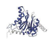 The deposited structure of PDB entry 4qwl contains 2 copies of Pfam domain PF00227 (Proteasome subunit) in Proteasome subunit alpha type-5. Showing 1 copy in chain R.