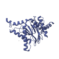 The deposited structure of PDB entry 4qwl contains 2 copies of CATH domain 3.60.20.10 (Glutamine Phosphoribosylpyrophosphate, subunit 1, domain 1) in Proteasome subunit alpha type-1. Showing 1 copy in chain G.