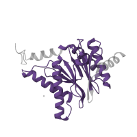 The deposited structure of PDB entry 4qwl contains 2 copies of Pfam domain PF00227 (Proteasome subunit) in Proteasome subunit alpha type-1. Showing 1 copy in chain U.