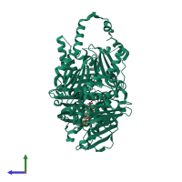 Homo dimeric assembly 1 of PDB entry 4r1f coloured by chemically distinct molecules, side view.