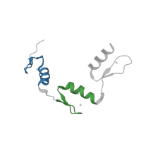 The deposited structure of PDB entry 4r2q contains 2 copies of Pfam domain PF00096 (Zinc finger, C2H2 type) in Wilms tumor protein. Showing 2 copies in chain A.