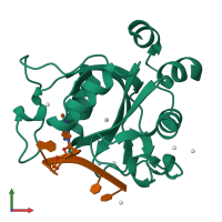 PDB entry 4r3i coloured by chain, front view.