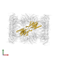 Proteasome subunit beta type-2 in PDB entry 4r3o, assembly 1, front view.
