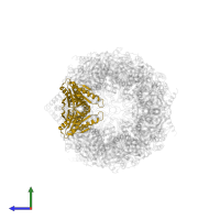 Proteasome subunit beta type-2 in PDB entry 4r3o, assembly 1, side view.