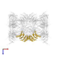 Proteasome subunit beta type-2 in PDB entry 4r3o, assembly 1, top view.