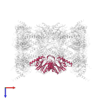 Proteasome subunit beta type-5 in PDB entry 4r3o, assembly 1, top view.