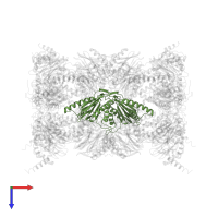 Proteasome subunit beta type-1 in PDB entry 4r3o, assembly 1, top view.