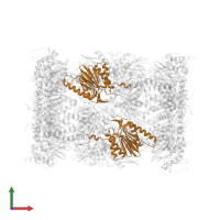 Proteasome subunit beta type-4 in PDB entry 4r3o, assembly 1, front view.