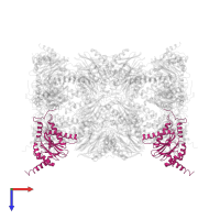 Proteasome subunit alpha type-7 in PDB entry 4r3o, assembly 1, top view.