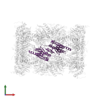 Proteasome subunit beta type-6 in PDB entry 4r3o, assembly 1, front view.