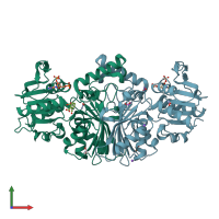 PDB entry 4r3w coloured by chain, front view.