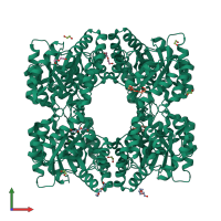 Homo tetrameric assembly 1 of PDB entry 4r53 coloured by chemically distinct molecules, front view.