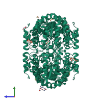 Homo tetrameric assembly 1 of PDB entry 4r53 coloured by chemically distinct molecules, side view.