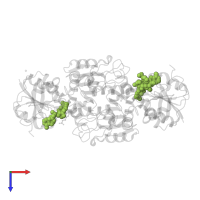 NADP NICOTINAMIDE-ADENINE-DINUCLEOTIDE PHOSPHATE in PDB entry 4r54, assembly 1, top view.