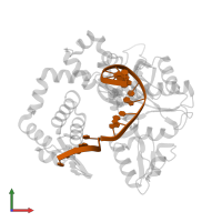 DNA (5'-D(*CP*CP*GP*AP*CP*AP*GP*CP*GP*CP*AP*TP*CP*AP*GP*C)-3') in PDB entry 4r64, assembly 1, front view.