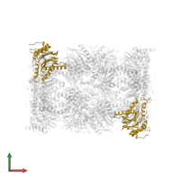 Proteasome subunit alpha type-1 in PDB entry 4r67, assembly 2, front view.