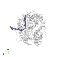 DNA (5'-D(P*GP*TP*TP*GP*GP*GP*AP*TP*TP*G)-3') in PDB entry 4r8a, assembly 1, side view.