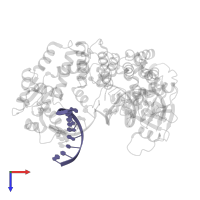DNA (5'-D(P*GP*TP*TP*GP*GP*GP*AP*TP*TP*G)-3') in PDB entry 4r8a, assembly 1, top view.