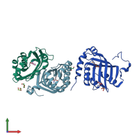 PDB entry 4r9k coloured by chain, front view.