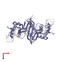 Ferric uptake regulation protein in PDB entry 4rb2, assembly 1, top view.