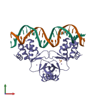 Hetero tetrameric assembly 1 of PDB entry 4rb3 coloured by chemically distinct molecules, front view.