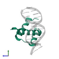 Homeobox protein NANOG in PDB entry 4rbo, assembly 1, side view.