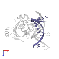 DNA (5'-D(*GP*GP*GP*AP*TP*TP*GP*CP*CP*GP*CP*TP*TP*AP*GP*G)-3') in PDB entry 4rd5, assembly 1, top view.