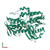 PDB entry 4rep coloured by chain, front view.