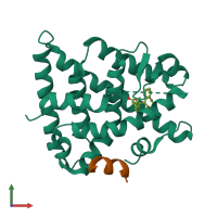 PDB entry 4rfw coloured by chain, front view.