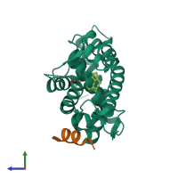 PDB entry 4rfw coloured by chain, side view.